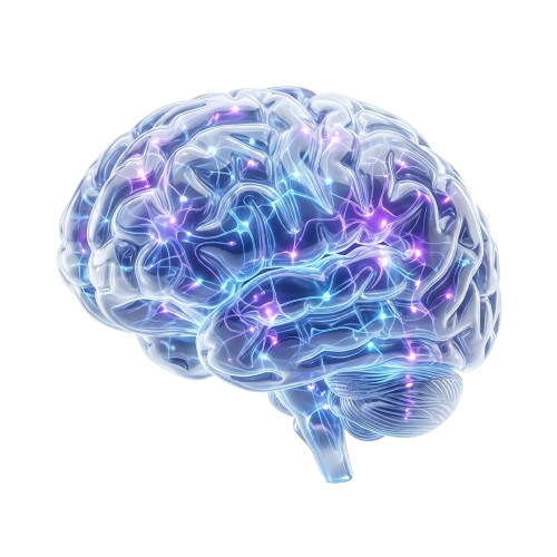 Neuro-Peace 3D Brain Illustration